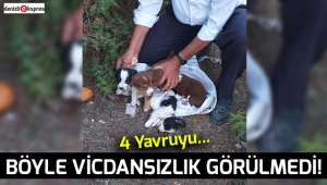 Bunu yapan insan olamaz...