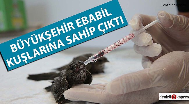 Büyükşehir Ebabil kuşlarına sahip çıktı
