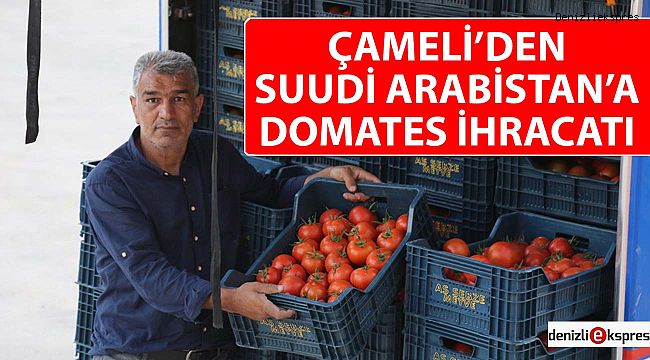 Çameli'den Suudi Arabistan'a domates ihracatı
