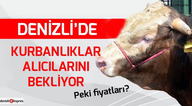 Denizli'de kurbanlıklar alıcılarını bekliyor