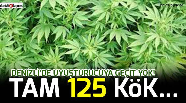 Denizli'de uyuşturucuya geçit yok!