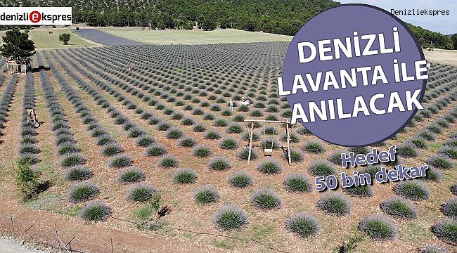 Denizli lavanta ile anılacak
