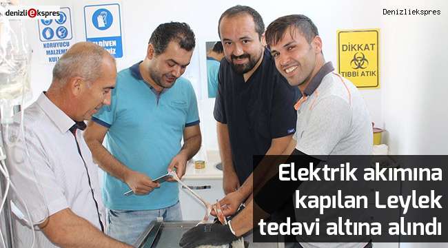 Elektrik akımına kapılan Leylek tedavi altına alındı