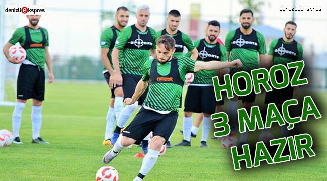 Horoz 3 maça hazır