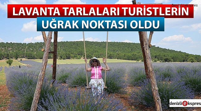 Lavanta tarlaları turistlerin uğrak noktası oldu