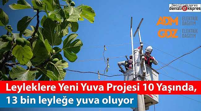 Leyleklere Yeni Yuva Projesi 13 bin leyleğe yuva oluyor