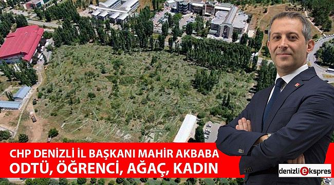 ODTÜ, ÖĞRENCİ, AĞAÇ, KADIN