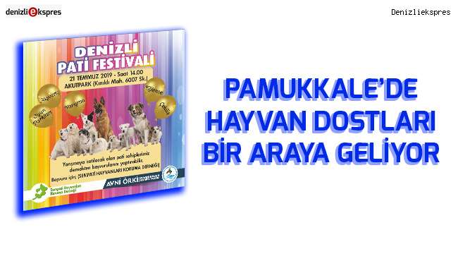 Pamukkale'de hayvan dostları bir araya geliyor