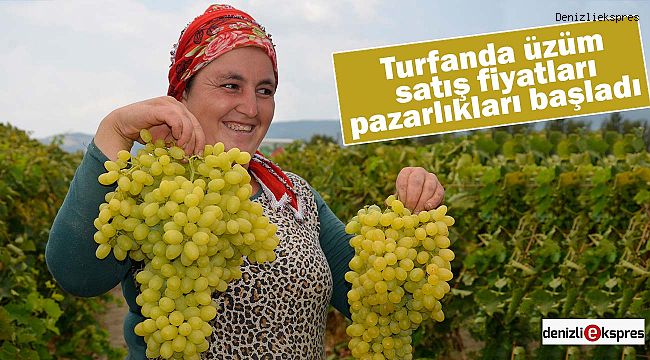 Turfanda üzüm satış fiyatları pazarlıkları başladı