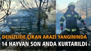 Yangında hayvanlar son anda kurtarıldı