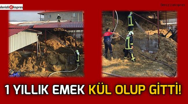 1Yıllık emek kül olup gitti!