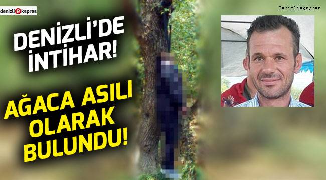 Ağaca asılı olarak bulundu!