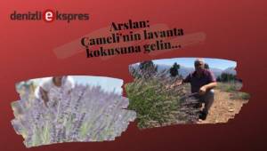 Arslan; Çameli'nin lavanta kokusuna gelin