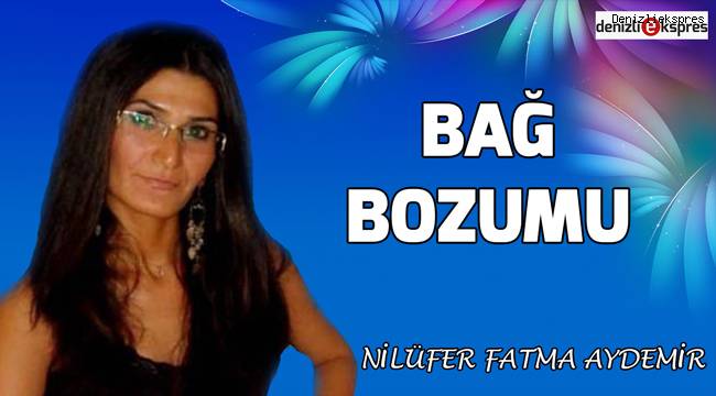 Bağ Bozumu