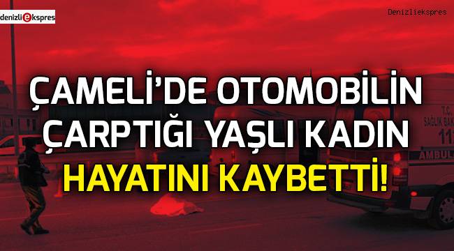 Çameli'de otomobilin çarptığı yaşlı kadın hayatını kaybetti!