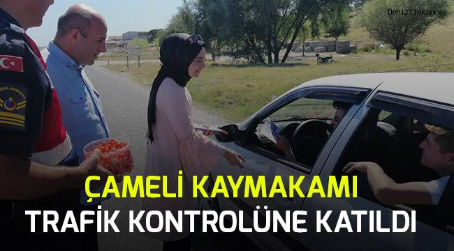 Çameli Kaymakamı Jandarma ile birlikte trafik denetimine katıldı.