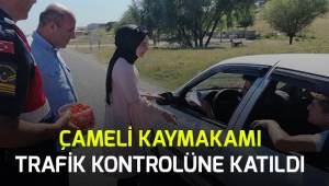 Çameli Kaymakamı Jandarma ile birlikte trafik denetimine katıldı.