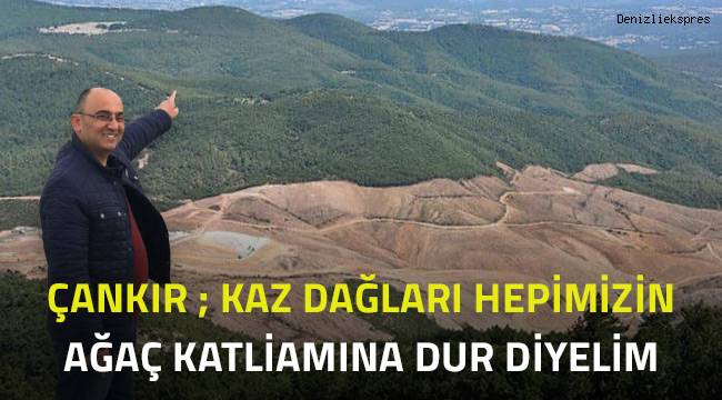 Çankır; Kaz Dağları'ndaki ağaç katliamına dur diyelim