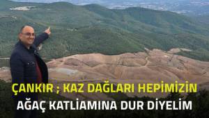 Çankır; Kaz Dağları'ndaki ağaç katliamına dur diyelim
