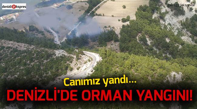 Denizli'de orman yangını!