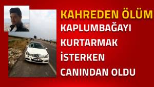 Kapkumbağayı kurtarmak isterken canından olddu