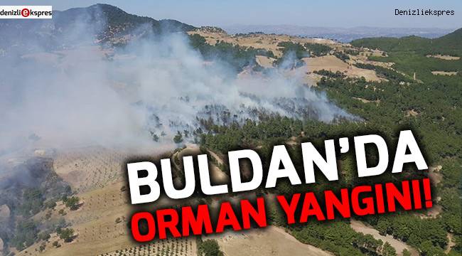 Buldan’da orman yangını!