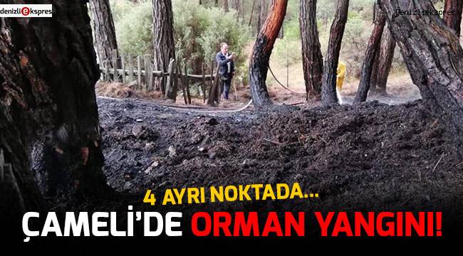 Çameli’de orman yangını!