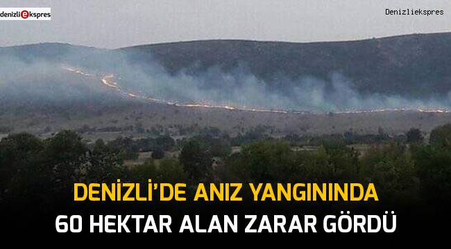Denizli’de anız yangınında 60 hektar alan zarar gördü