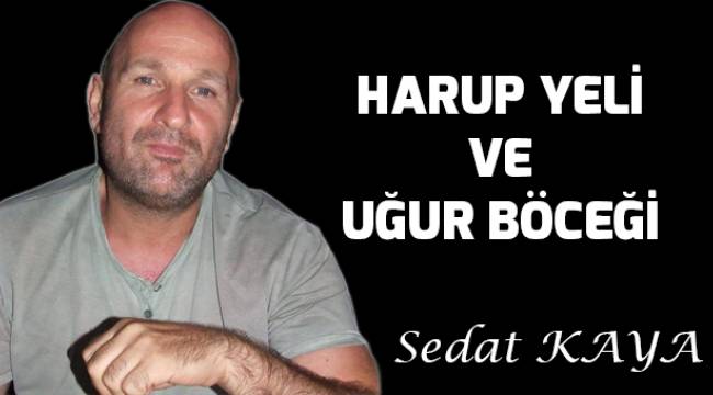 HARUP YELİ VE UĞUR BÖCEĞİ