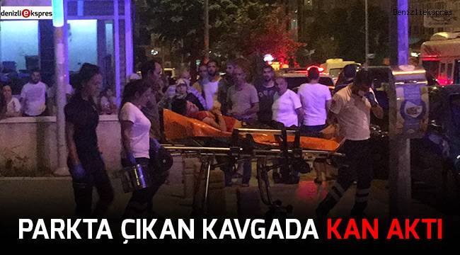 Parkta çıkan kavgada kan aktı