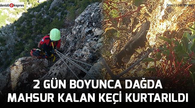 2 gün boyunca dağda mahsur kalan keçi kurtarıldı