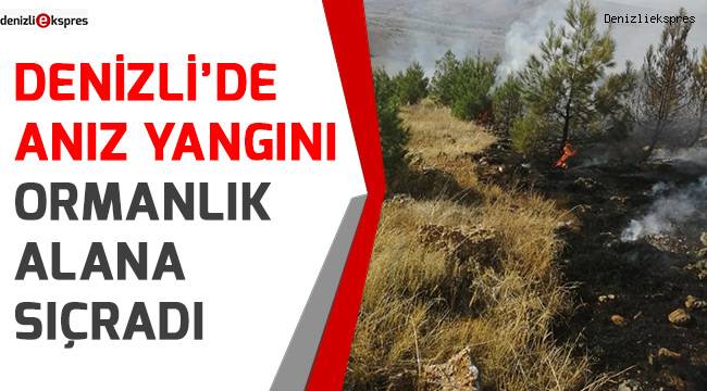 Anız yangını ormanlık alana sıçradı