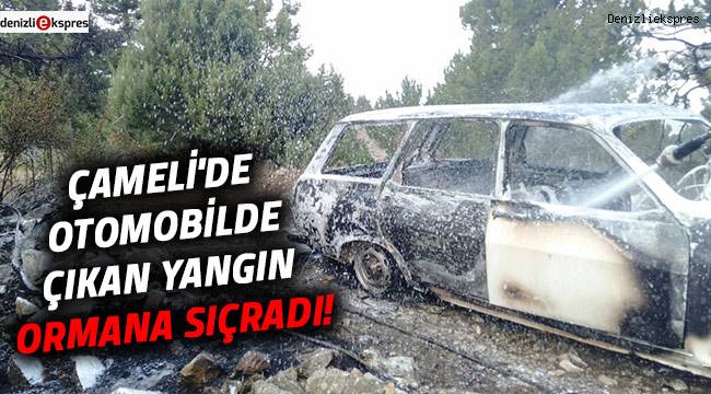 Çameli'de otomobilde çıkan yangın ormana sıçradı!