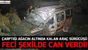 Çarptığı ağacın altında kalan araç sürücüsü hayatını kaybetti