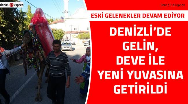 Denizli’de gelin, deve ile yeni yuvasına getirildi