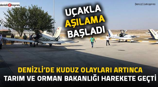 Denizli'de kuduz vakalarının önlenmesi için uçakla aşılama başladı