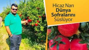 Hicaz Narı dünya sofralarını süslüyor