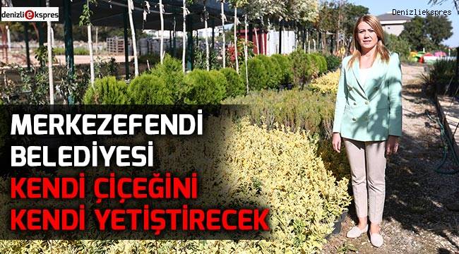 Merkezefendi Belediyesi kendi çiçeğini kendi yetiştirecek