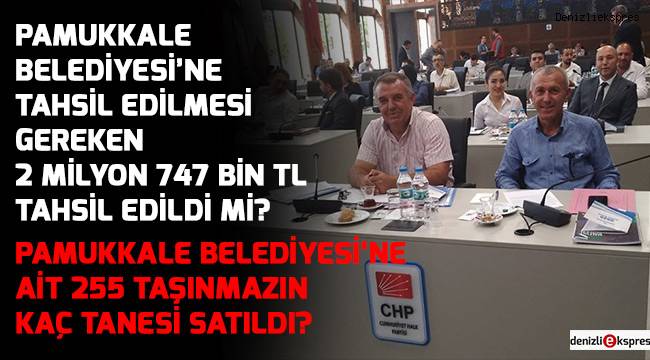 Pamukkale Belediyesi’ne ait 255 taşınmazın kaç tanesi satıldı?