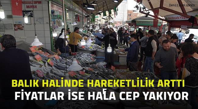 Balık fiyatları cep yakıyor