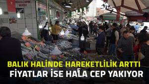 Balık fiyatları cep yakıyor