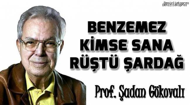 BENZEMEZ KİMSE SANA RÜŞTÜ ŞARDAĞ