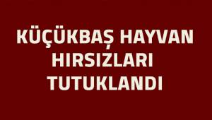 Denizli'de küçükbaş hayvan çalan hırsızlar tutuklandı
