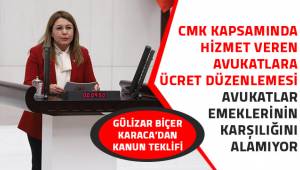 Gülizar Biçer Karaca'dan kanun teklifi