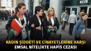 Kadın şiddeti ve cinayetlerine karşı emsal nitelikte hapis cezası