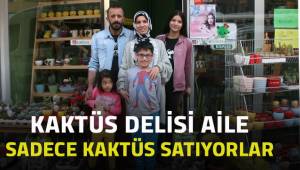 Kaktüs delisi aile