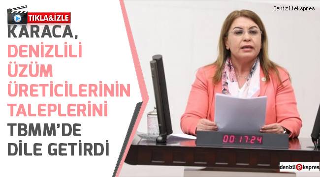 Karaca, Denizlili üzüm üreticilerinin taleplerini TBMM'de dile getirdi