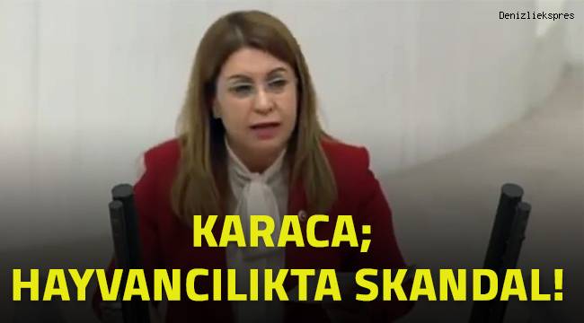 Karaca; Hayvancılıkta skandal