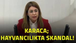 Karaca; Hayvancılıkta skandal