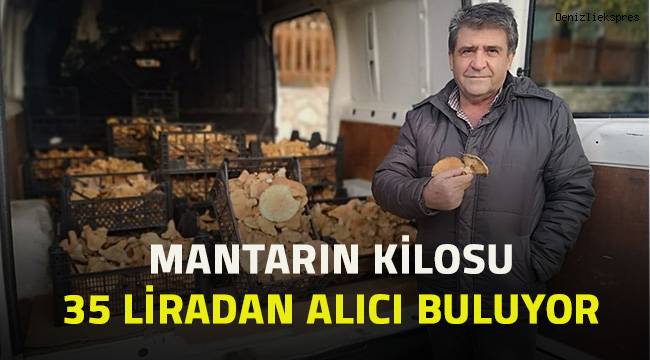 Mantar Çameli halkının geçim kaynağı oldu